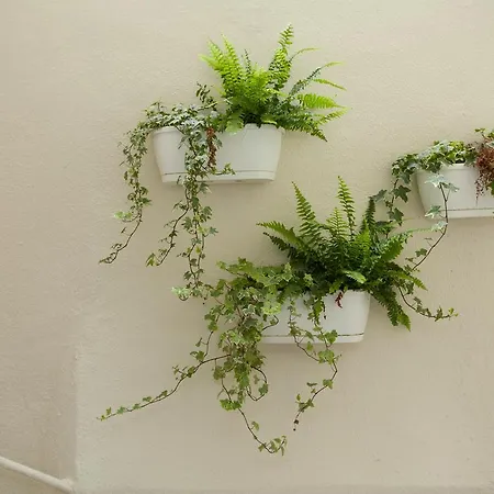 Beguest Santa Catarina