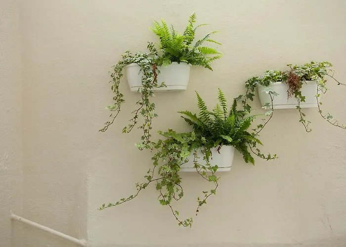 Beguest Santa Catarina